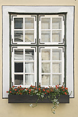 Image showing Window with flowers