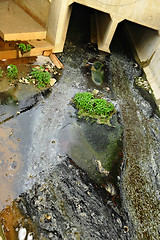 Image showing Wastewater pollution