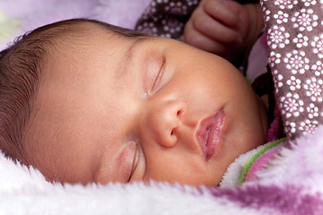 Image showing Newborn Infant Fast Asleep