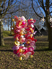 Image showing Colorful pacifiers in tree