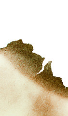 Image showing burnt paper