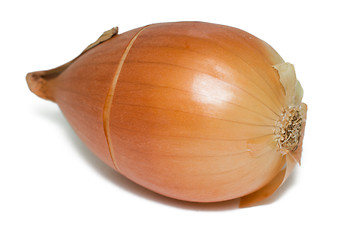 Image showing Onions