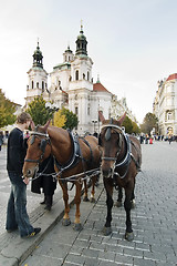 Image showing Horse Drawn Cart