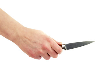 Image showing Pearing Knife in Hand