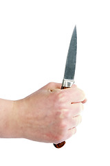 Image showing Pearing Knife in Hand