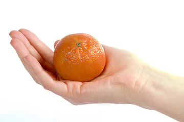 Image showing Orange in Hand