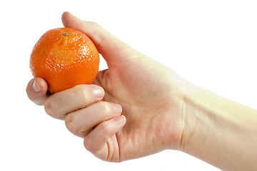 Image showing Orange in Hand