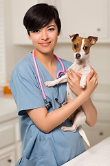 Image showing Smiling Attractive Mixed Race Veterinarian Doctor or Nurse with 