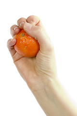 Image showing Orange in Hand