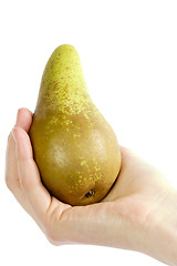 Image showing Pear Sudjestion