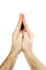 Image showing Praying Hands Isolated