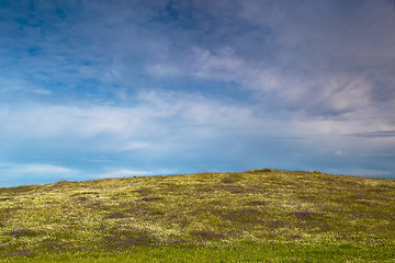 Image showing Green meadow