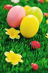 Image showing Easter eggs in green 