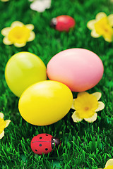 Image showing Easter eggs in green 