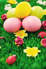 Image showing Easter eggs in green 