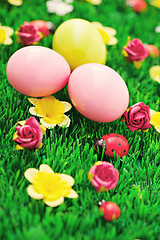 Image showing Easter eggs in green 