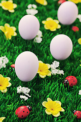 Image showing Easter eggs in green 