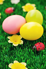 Image showing Easter eggs in green 