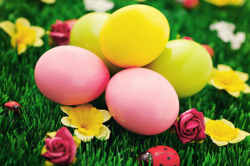 Image showing Easter eggs in green 