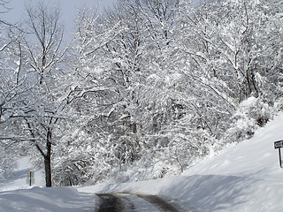 Image showing winter landscape