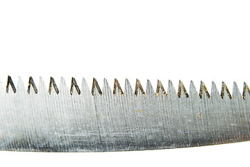 Image showing Saw Tooth