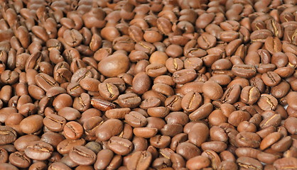 Image showing Coffee beans closeup