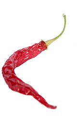 Image showing Red Hot Chilli