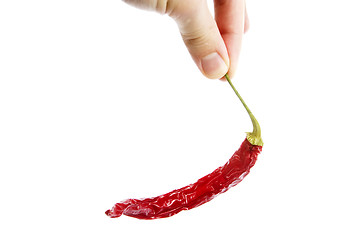 Image showing Red Hot Chilli