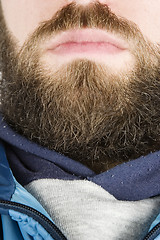 Image showing Beard Close Up