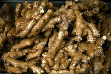 Image showing wild ginger