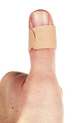 Image showing Thumb Bandage