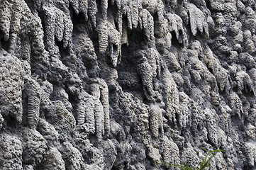 Image showing Wall of stalactites