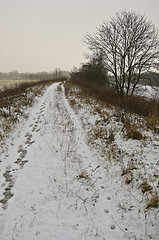 Image showing Winter landscape