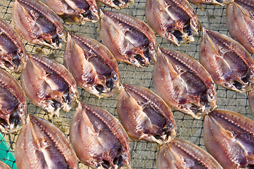 Image showing Dry fish