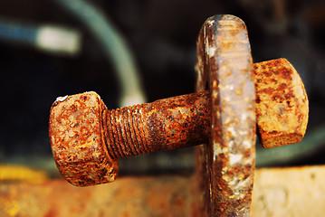 Image showing Rusty screw