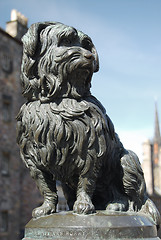 Image showing Greyfriar's Bobby