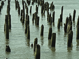 Image showing Groynes