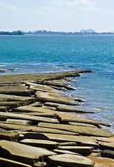 Image showing Susan Hoi Shell Fossil Beach Cemetery