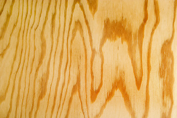 Image showing Wood Texture