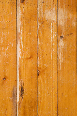 Image showing Wood Texture