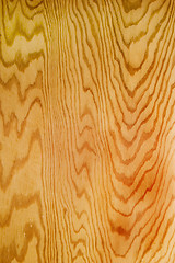 Image showing Wood Texture