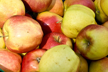 Image showing Apples