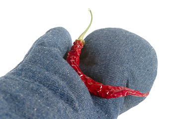 Image showing Hot Chilli
