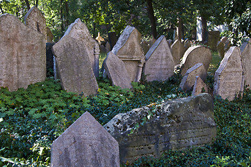 Image showing Jewish cemetery