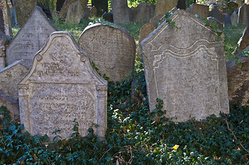 Image showing Jewish cemetery