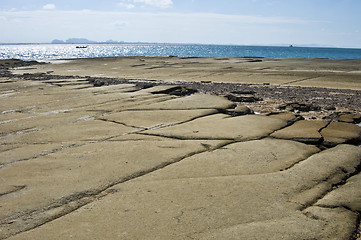 Image showing Susan Hoi Shell Fossil Beach Cemetery