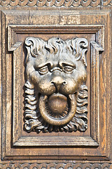 Image showing Wooden lion