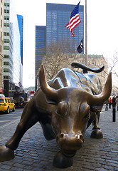 Image showing Charging bull