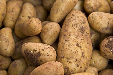 Image showing Potatos