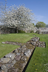 Image showing Foundations of Melrose Abbey